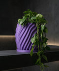 A purple planter pot with a plant in it sits on a gray shelf. The pot has a swirling design.