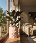 A pink planter pot with a rubber plant sits on a wooden windowsill in a sunlit room. A cozy armchair and bookshelf are in the background.