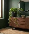 A black planter pot with a green plant sits atop a wooden cabinet in a room with dark green walls. A round mirror hangs on the wall.