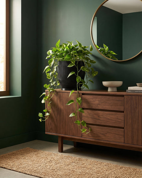 A black planter pot with a green plant sits atop a wooden cabinet in a room with dark green walls. A round mirror hangs on the wall.