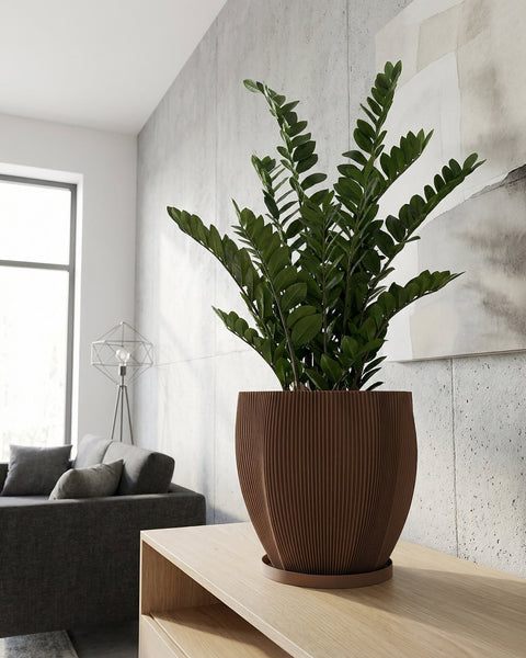 A Monstera plant sits in a brown, textured planter pot on a light wooden windowsill. The plant has green and white variegated leaves.