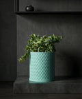 A turquoise woven planter pot with a green plant sits on a dark gray surface with a dark gray wall and shelf in the background.