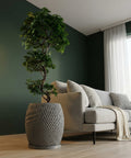 A gray planter pot with a textured, swirling design sits next to a light gray sofa with pillows and a throw blanket. A green plant is in the pot.
