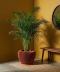 A large, vibrant green palm plant sits in a modern, ribbed terracotta planter pot on a woven rug.