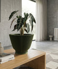 A green planter pot with a plant inside sits on a wooden table. The pot has a ribbed design. The table also has a vase and books on it. In the background, there is a window with a white curtain and a concrete wall.