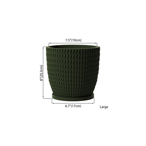 Avocado Green Vine