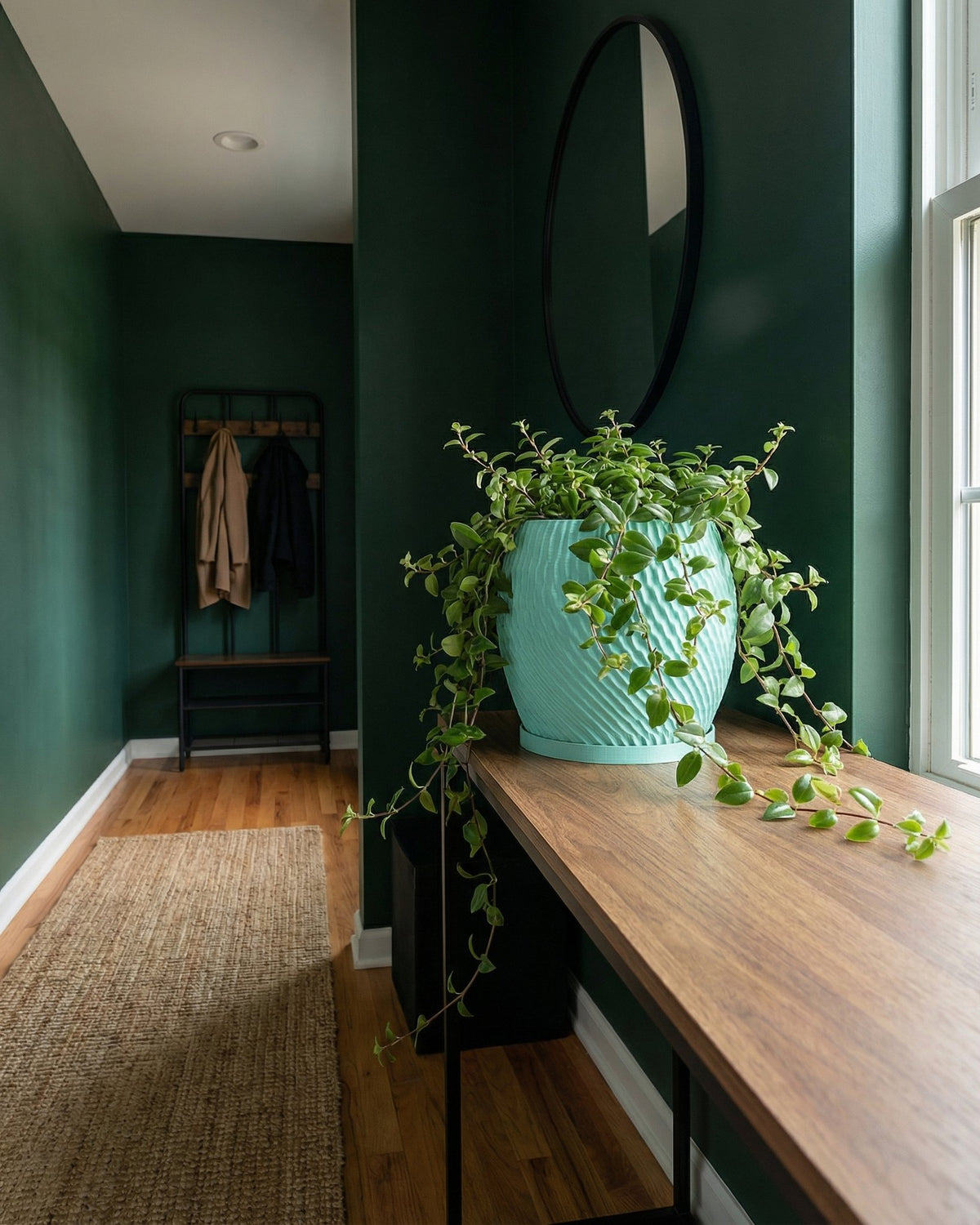 A turquoise planter with a trailing plant sits on a wooden table in a hallway with dark green walls and a jute rug.