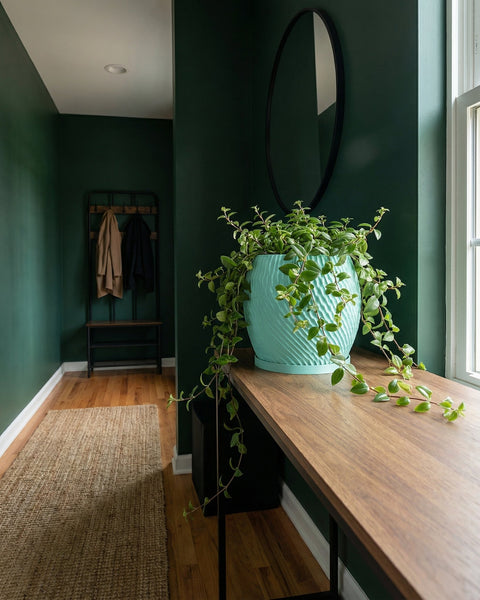 A turquoise planter with a trailing plant sits on a wooden table in a hallway with dark green walls and a jute rug.