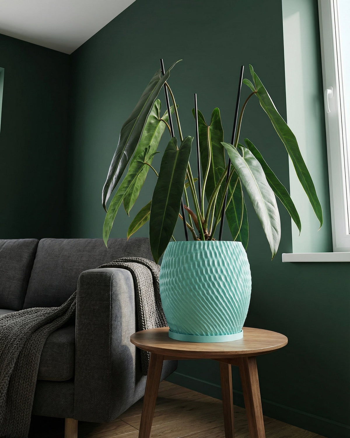 A light blue planter pot sits on a wooden table next to a gray sofa with a throw blanket in a room with dark green walls.