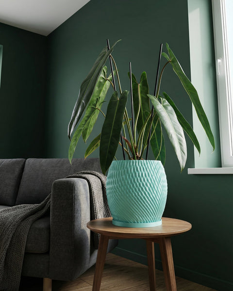 A light blue planter pot sits on a wooden table next to a gray sofa with a throw blanket in a room with dark green walls.