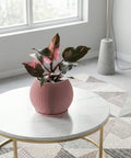 A pink planter pot with a plant sits on a white marble table with gold legs. The pot has a ribbed texture.