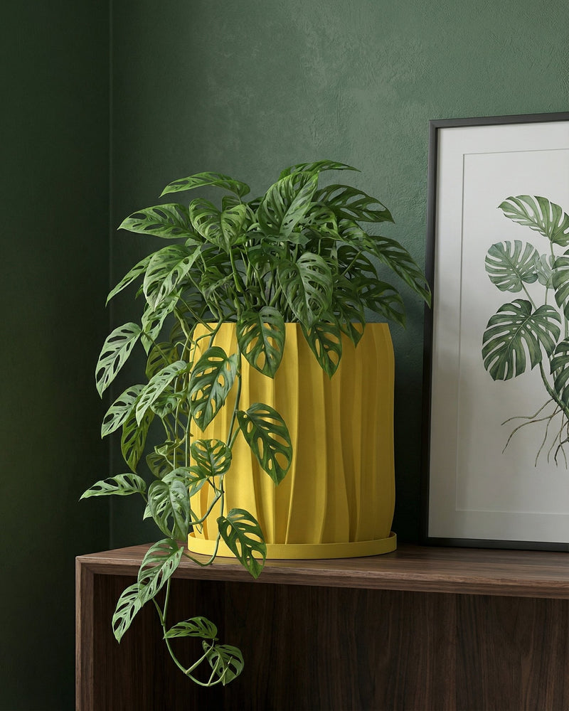 A Monstera plant with variegated leaves in a yellow textured planter pot sits on a jute rug.