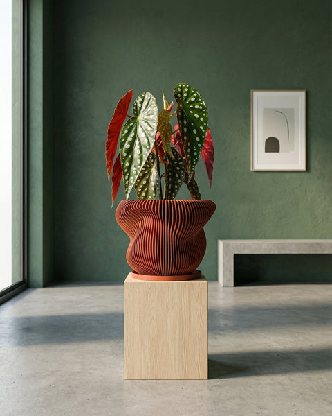 A large bird of paradise plant in a ribbed, terracotta-colored planter pot sits next to a teal velvet couch with a cream-colored throw blanket.