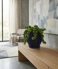 A ZZ plant in a textured, dark blue planter sits on a wooden shelf against an orange wall with a window.