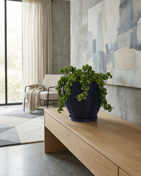 A ZZ plant in a textured, dark blue planter sits on a wooden shelf against an orange wall with a window.
