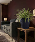 A spider plant in a navy blue woven planter pot sits on a wooden side table next to a gray sofa in a living room.