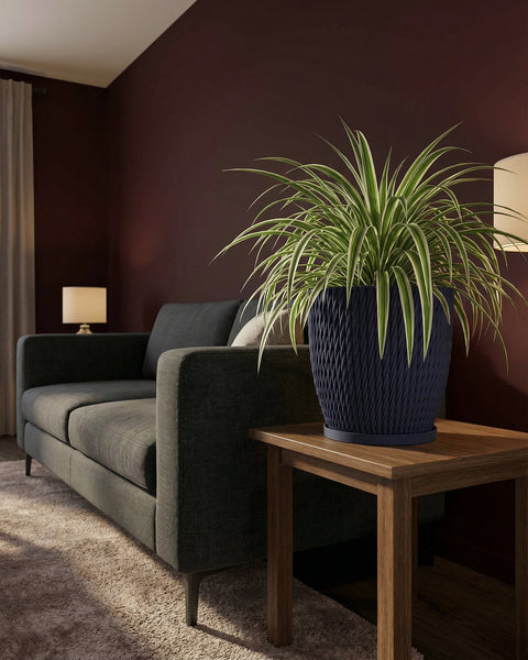 A spider plant in a navy blue woven planter pot sits on a wooden side table next to a gray sofa in a living room.
