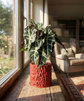 A red planter pot with a plant inside sits on a wooden windowsill. The pot has a textured, geometric design.