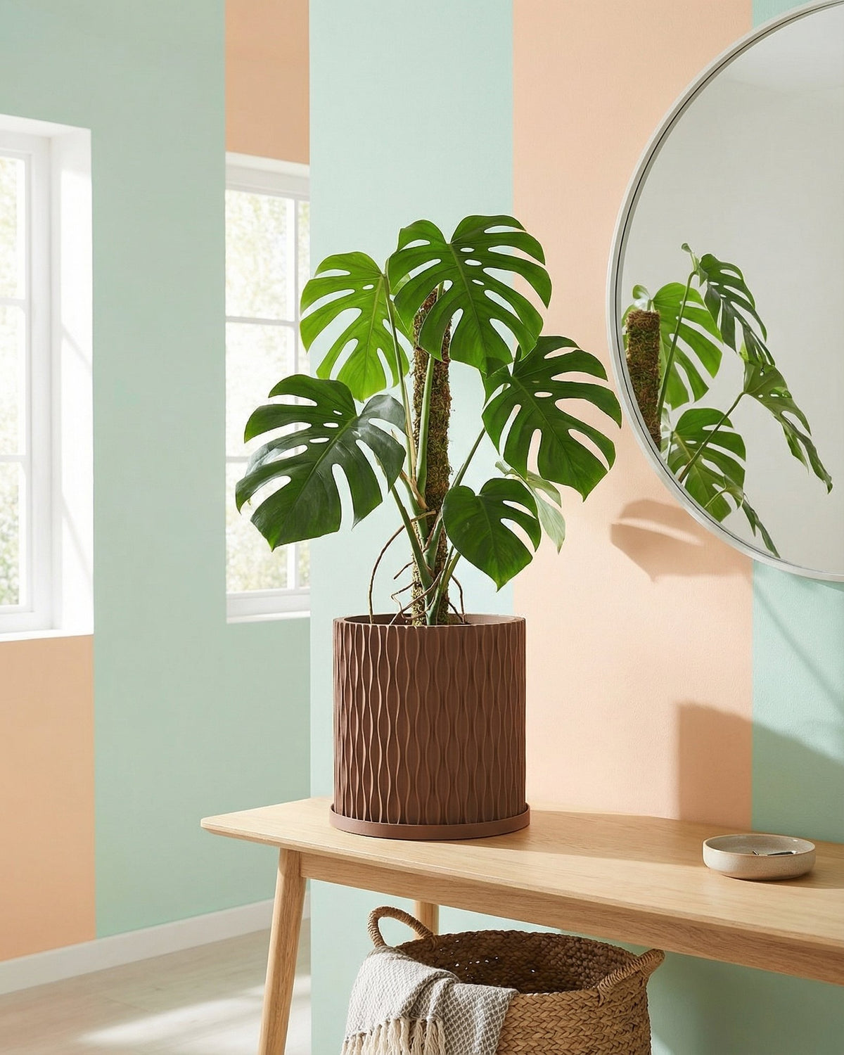 A variegated plant in a brown textured planter pot sits on a wooden cabinet against a mustard-colored wall.