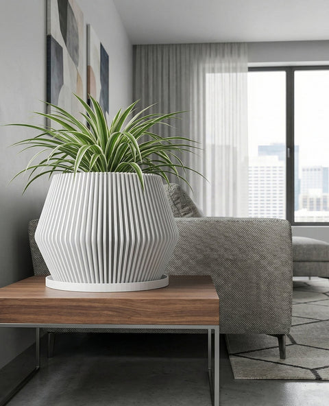 A planter pot with a plant in it is on a wooden table. The pot is white and has a ribbed design. The plant has large, green and pink leaves. In the background, there is a window with white curtains and a gray chair.