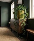 A yellow planter pot sits atop a wooden cabinet, filled with a lush green plant with leaves that have holes in them.