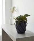 A snake plant in a blue, textured planter pot sits on a wooden windowsill next to a bright window.