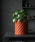 A green plant in an orange planter pot sits on a gray pedestal in a dark, modern room.
