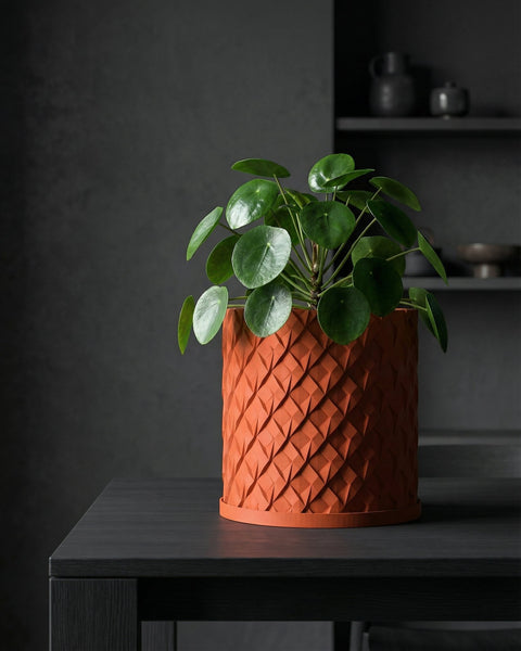 A green plant in an orange planter pot sits on a gray pedestal in a dark, modern room.