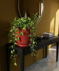 A red planter pot with a green plant sits on a black table with books and a bowl, a mirror is behind it.