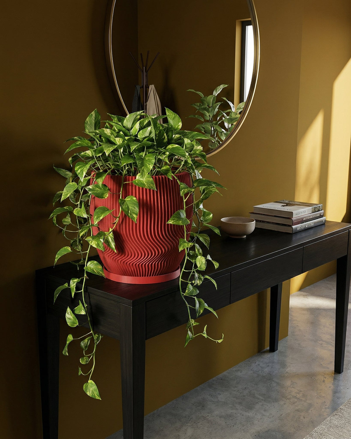 A red planter pot with a green plant sits on a black table with books and a bowl, a mirror is behind it.