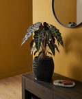 A black planter pot with a plant sits on a dark wood table. A round mirror hangs on the wall behind the plant.