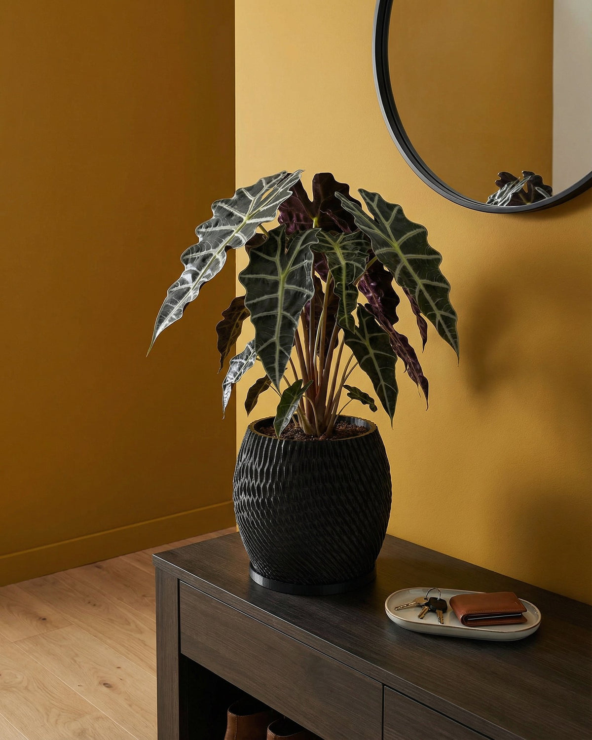 A black planter pot with a plant sits on a dark wood table. A round mirror hangs on the wall behind the plant.