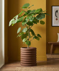 A potted plant with a brown, ridged planter sits on a jute rug in a room with mustard-colored walls.