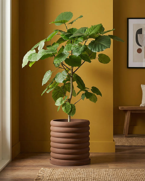 A potted plant with a brown, ridged planter sits on a jute rug in a room with mustard-colored walls.