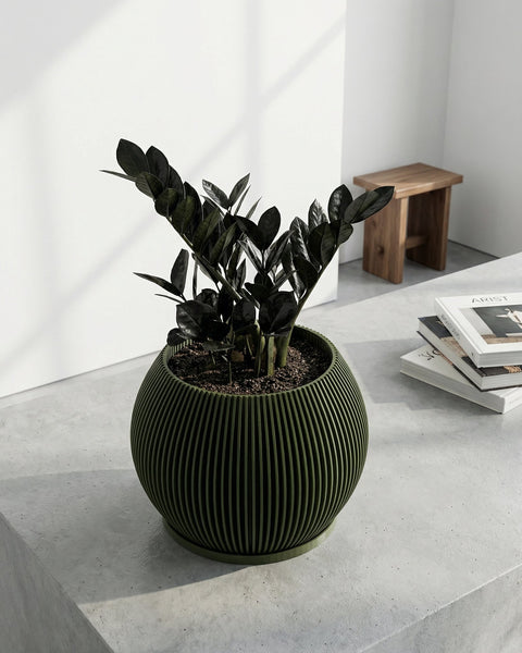A green planter pot with a plant inside sits on a concrete surface next to a stack of books and a wooden stool.