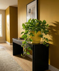 A yellow planter pot with a pothos plant sits on a dark wood table against a mustard-colored wall with a framed print.