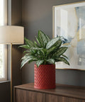 A red woven planter pot with a green plant sits on a wooden dresser, with a lamp and framed art in the background.