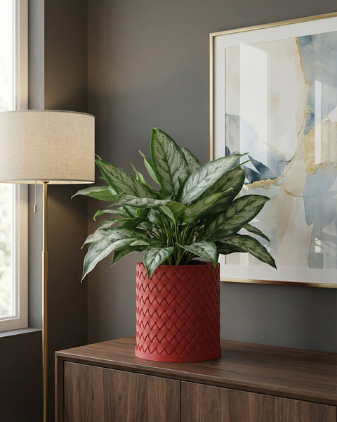 A red woven planter pot with a green plant sits on a wooden dresser, with a lamp and framed art in the background.