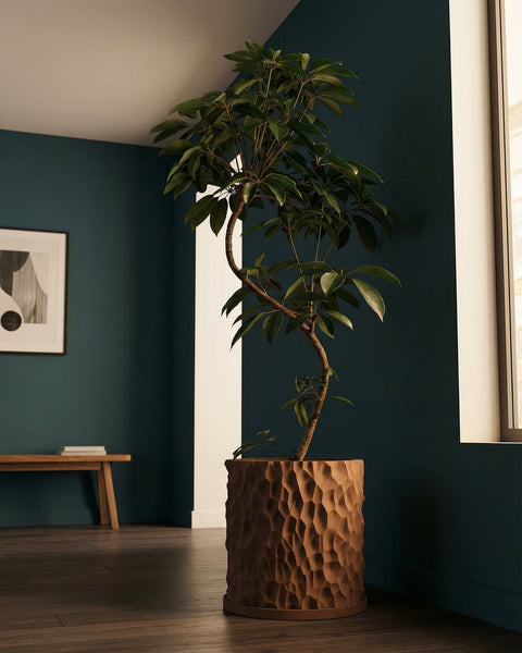 A tall, leafy plant sits in a textured, brown planter pot on a dark wood floor against a dark teal wall.