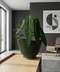 A green Anthurium plant in a green planter pot sits on a light-colored wooden table in a modern living room. The planter has a unique, vertically-lined design. A gray wall, a framed geometric print, and a chair are in the background.