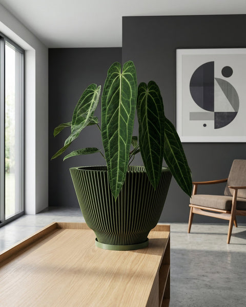 A green Anthurium plant in a green planter pot sits on a light-colored wooden table in a modern living room. The planter has a unique, vertically-lined design. A gray wall, a framed geometric print, and a chair are in the background.