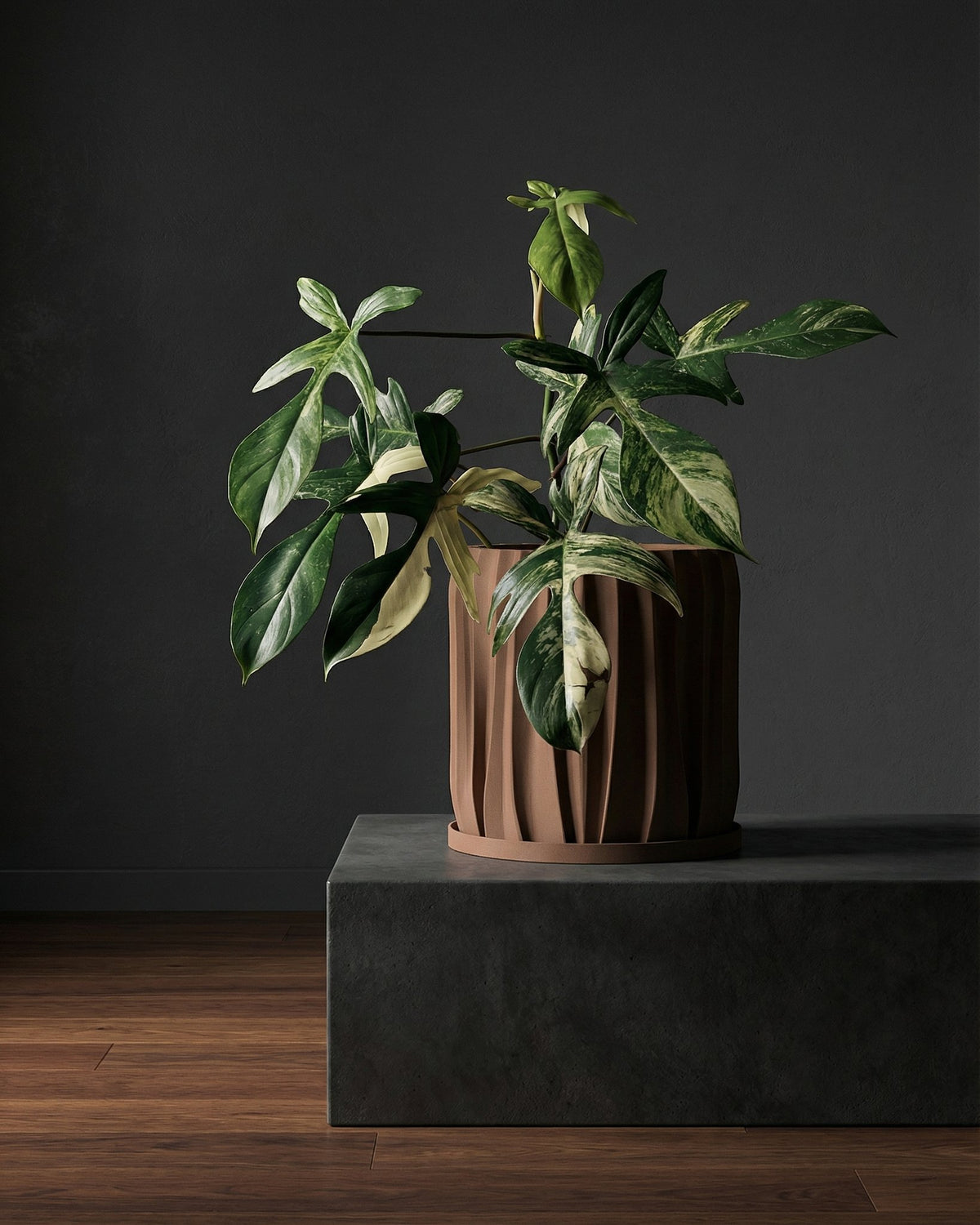 A brown textured planter pot with a green plant next to a gray couch on a wooden floor.