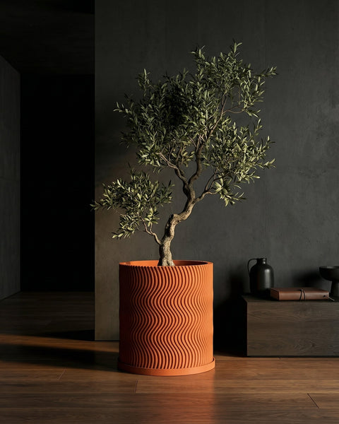 A terracotta planter pot with a wavy design, containing a small olive tree, sits on a wooden floor in a dimly lit room.