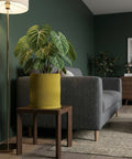 A vibrant green plant in a yellow, wavy-patterned planter pot sits on a wooden side table next to a gray sofa in a cozy living room.