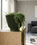 A green planter pot with a string of turtles plant sits on a wooden cabinet in a modern living room. The pot has a unique vertical slat design, and the plant's vines cascade down the side. The background includes a gray sofa, a patterned rug, and sheer curtains.