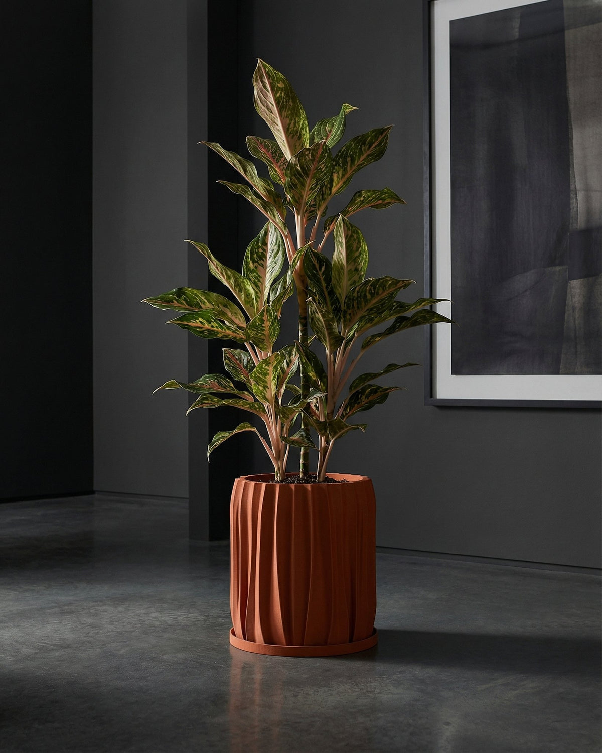 A spider plant in a textured, terracotta-colored pot sits on a white windowsill, bathed in soft, natural light.