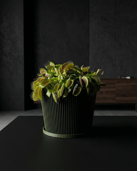 A green planter pot with a plant sits on a dark brown wooden shelf against a red wall with a round mirror.