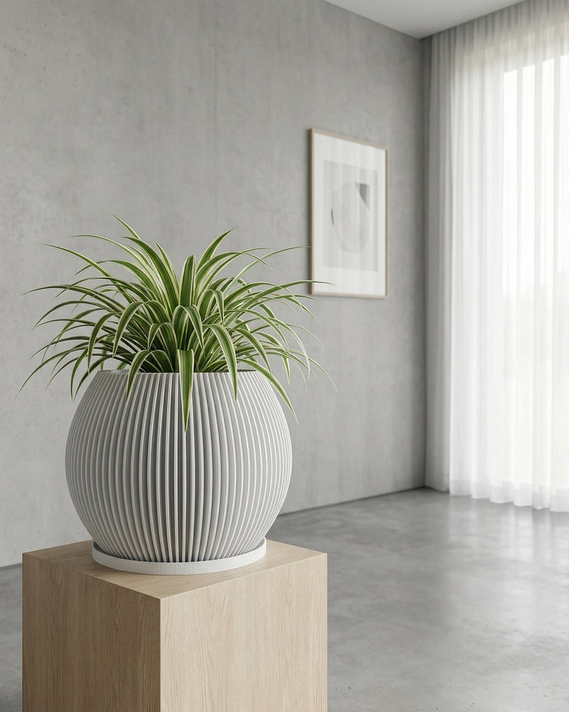 A spider plant sits in a gray, vertically-ribbed planter atop a light wood stand, against a gray wall with a framed print and sheer white curtains.