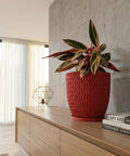 A red planter pot with a plant sits on a wooden cabinet next to books and a lamp.