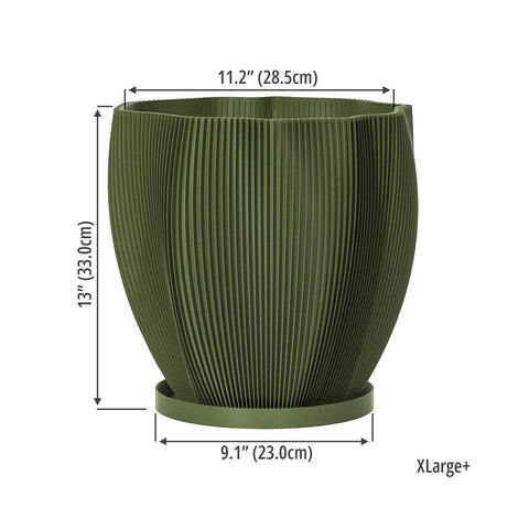 Avocado Green Coconut